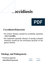 Coccidiosis