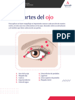 Tipos y Partes Del Ojo