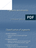 04 Pigments and Minerals