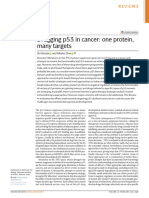 Drugging p53 in Cancer - One Protein, Many Targets