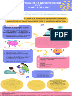 Infografia Importancia de La Neuropsicologia en El Campo Educativo