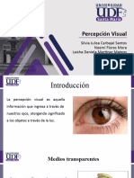 Percepción Visual