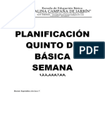 Planificacion 9 Semanas Quinto de Básica