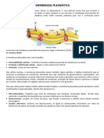 Resumo - Membrana Plasmática e Núcleo Celular