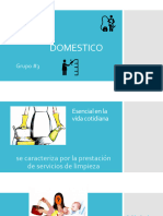 Presentación Trabajo Domestico