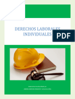 Cartilla de Consulta Anexo - Derechos Laborales Individuales