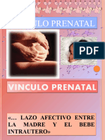 Vinculo Afectivo 1