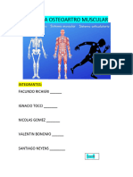 Sistema Osteoartro Muscular