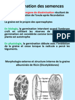 1-Germination Des Semences