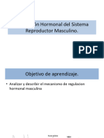 Cuartos Medios. Biología. Regulación Hormonal Del Sistema Reproductor Masculino.