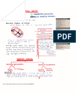 9 Antiarrhythmic Drugs