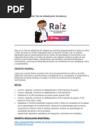 Introducción Plan Raiz