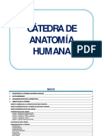 Catedra de Anatomia