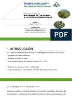 Proyecto de Investigación: Sistema Agroforestal de Los Huertos Familiares en La Costa de Oaxaca, México