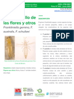 INTA - CRMendozaSanJuan - EEAMendoza - de Borbon, C. - Trips Amarillo de Las Flores y Otros Frankliniella Gemina, F. Australis, F. Schultzei