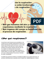 Sistema Respiratorio