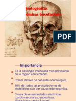 Espacios Anatomicos Bucofaciales