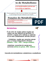 Metabolismo e Ciclo de Krebs