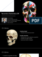 Anatomia - Aula 02 - Ossos - NeurocranioJ Viscerocranio e ATM