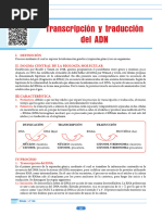 Transcripción y Traducción Del ADN