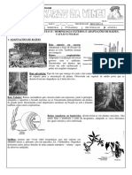 Morfologia Vegetal Externa