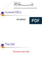 Cell