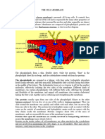 THE CELL MEMBRANE (Coloured)