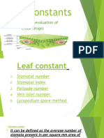 Leaf Constant