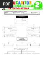 El Ecosistema para Primer Grado de Primaria