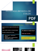 Patologia Benigna de Colon