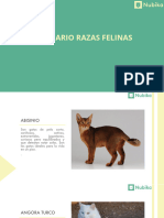 Seminario Razas Felinas