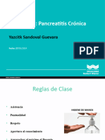 17C. Pancreatitis Crónica