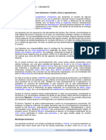 1.1 Morfología y Estructura Bacteriana, Tamaño, Forma y Agrupaciones.