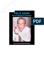 Libro Felix Adam - Castillo