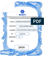 Formato Alumno Trabajo Final Seguridad e Higiene Industrial.