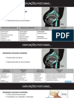 Disfunções Posturais - SCP Sci