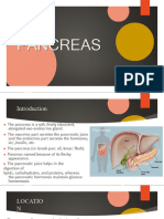 Pancreas