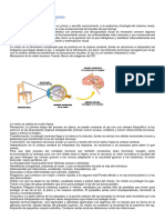 Individuo y Discapacidad