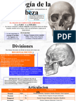 Osteologia de La Cabeza Apuntes