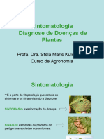 Sintomatologia e Diagnose