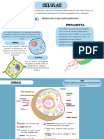 Gráfica Cuadro Sinóptico Proyecto Simple Blanco 