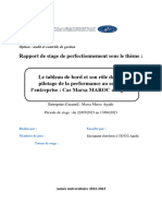 Rapport de Stage S8 ACG