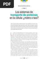 Los Sistemas de en La Célula: ¿Metro o Taxi?: Transporte de Proteínas