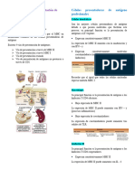 Procesamiento y Presentación de Antígenos