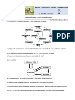 Atividade Ciclo Biogeoquímicos - 2