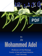 7-Deciduous Posterior Teeth