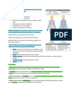 Anatomía Examen 1