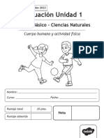 Evaluacion 2 Basico Unidad 1 Ciencias Naturales - Ver - 2