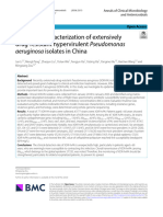 Molecular Characterization of Extensively Drug-Resistant Hypervirulent Pseudomonas Aeruginosa Isolates in China