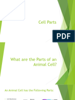 Cell Parts Notes